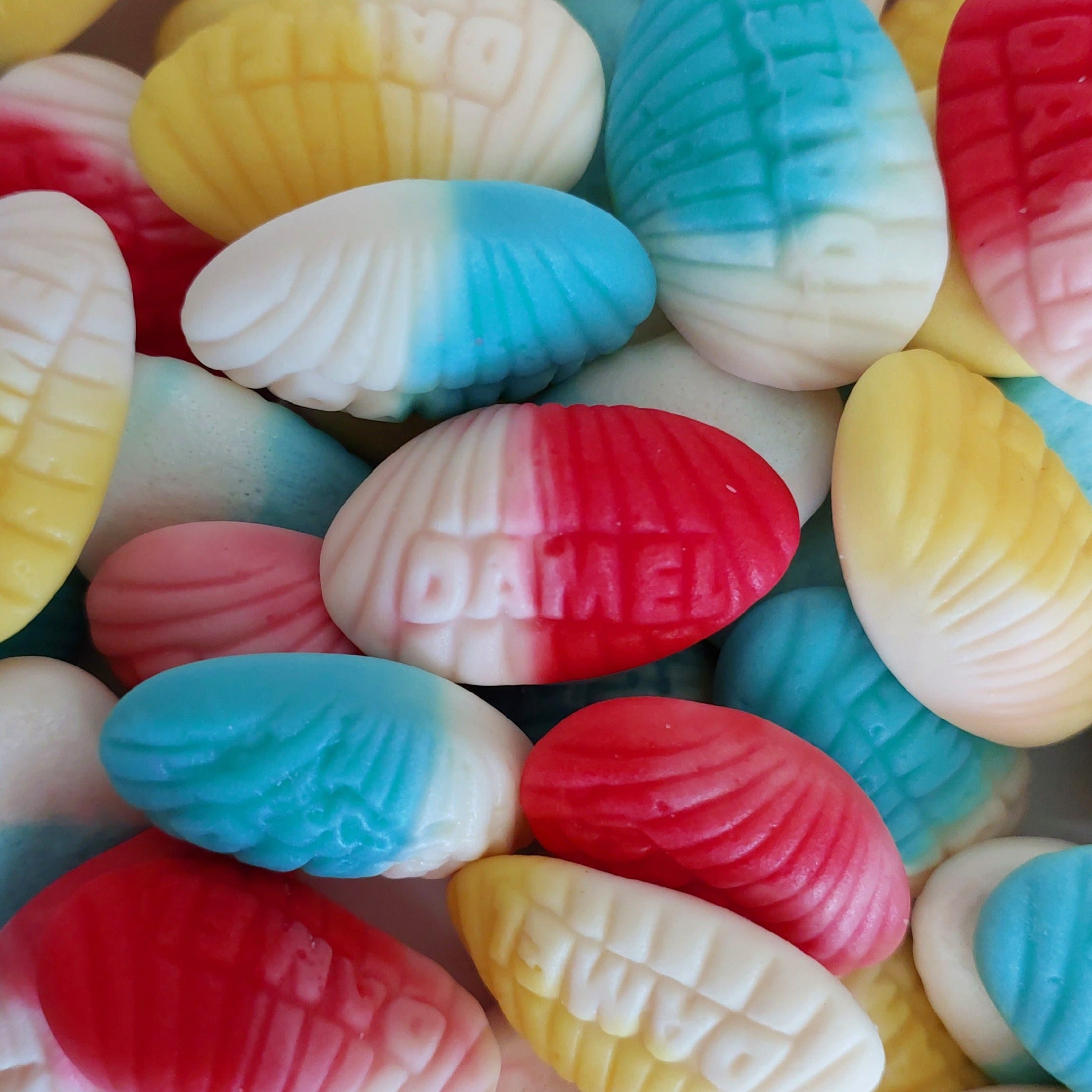 Damel Clam Shells – GG's Candy Land