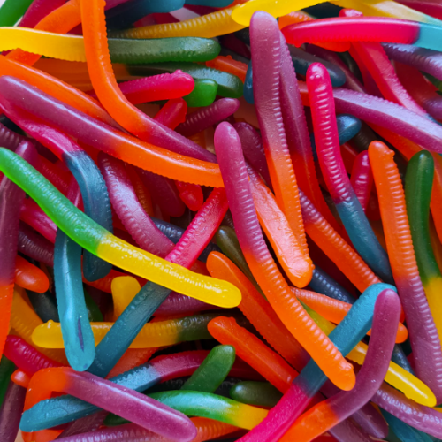 Rainbow Confectionary Gloworms (NZ)