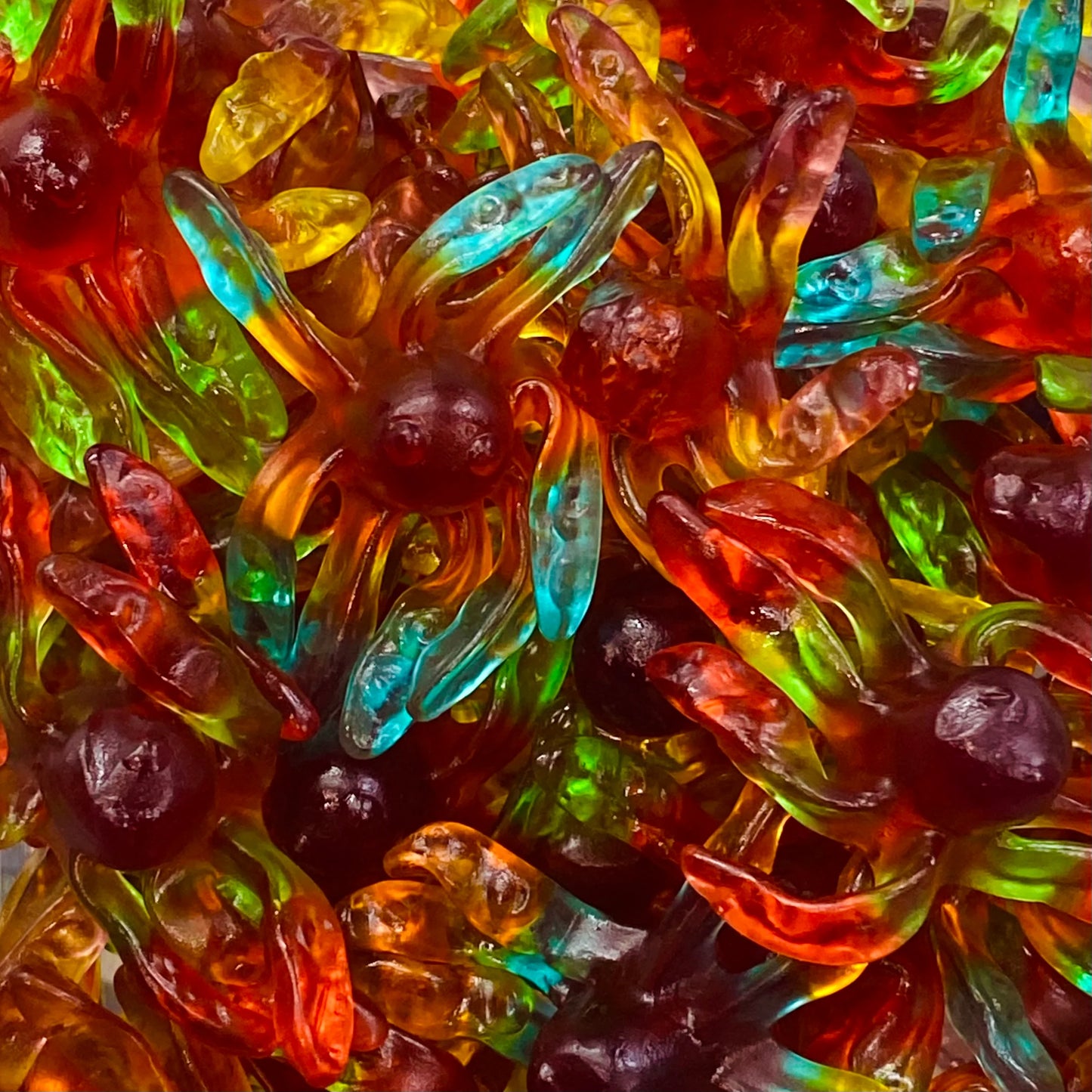 Trolli Gummy Octopus